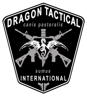 Dragon Tactical Logo